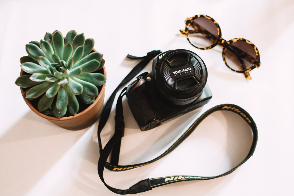 Black Nikon Dslr Camera Beside Green Succulent Plant